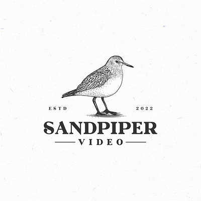 Design a logo bird logo branding design graphic design illustration lineart logo sandpipe sandpiper logo vector vintage