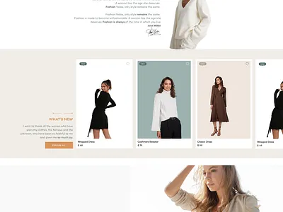 Shopify Theme Design design ecommerce shopify web