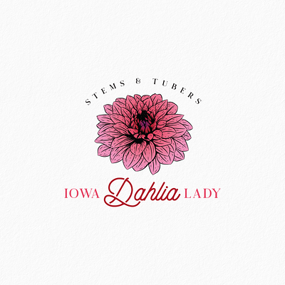 Logo for flower dahlias branding dahlia design floral flower graphic design hand drawing illustration lineart logo logo design vector