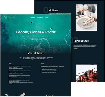 PT Bima Sakti Bahari landing page web design