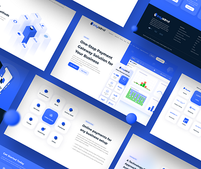 Payadmit behance crypto design dribbble illustration ui