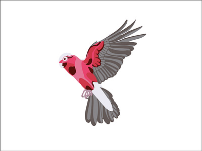 Australian Galah design illustration