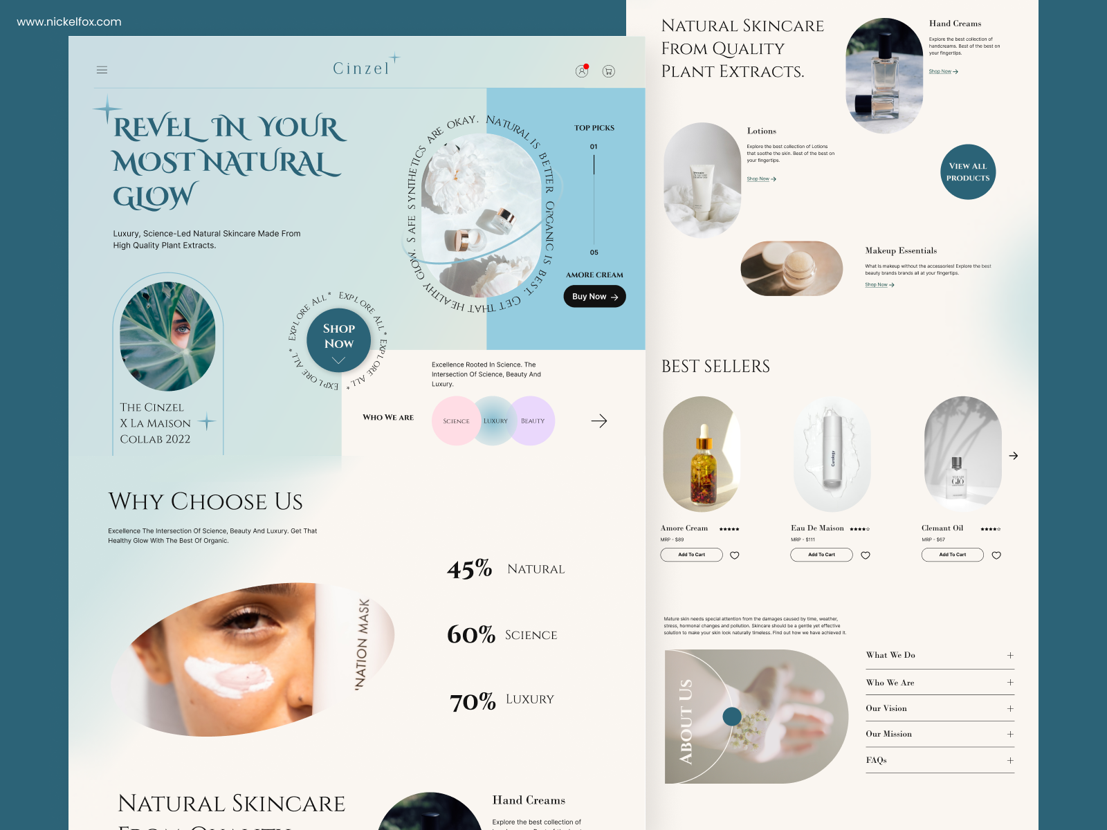 Example of Website Design (10 Pages)