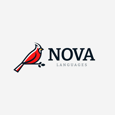 NOVA bird branding design logo