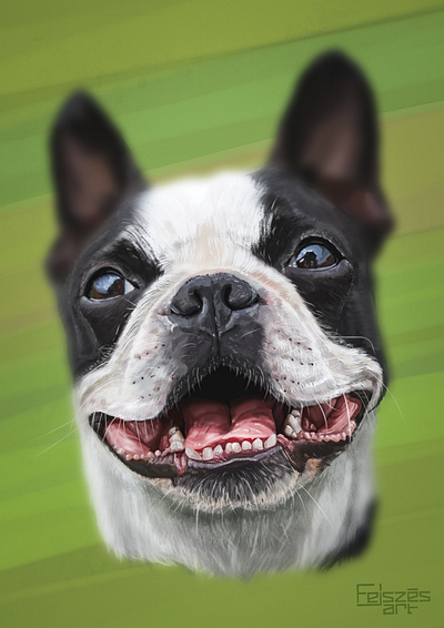 Custom Digital Pet Portrait artoftheday creative custom digital dog draw fiverr order painting pet photoshop portrait