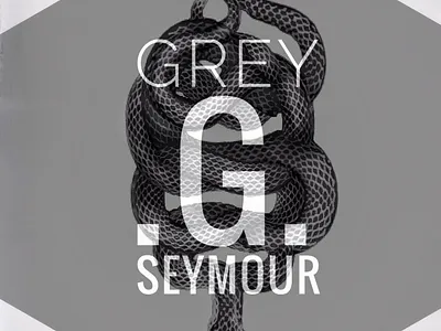 Personal Branding Plate branding design graphic design illustration logo logotype typography