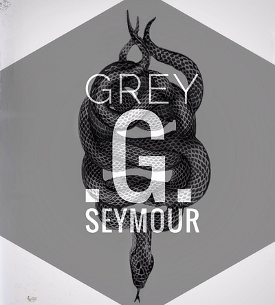 Personal Branding Plate branding design graphic design illustration logo logotype typography