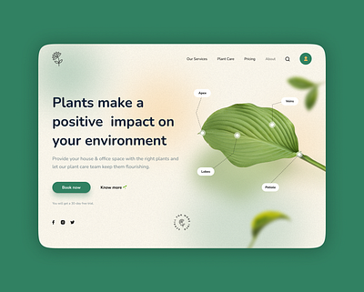 UI design for plant care service design figma ui