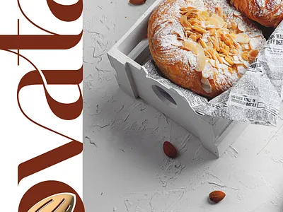 ovata brand branding design graphic design identity illustration logo logotype motion graphics ui براندينج تايبوجرافي لايك مخطوطات تصميم شعار شعارات شعارات عربية كاليجرافي لوجو لوقو هوية