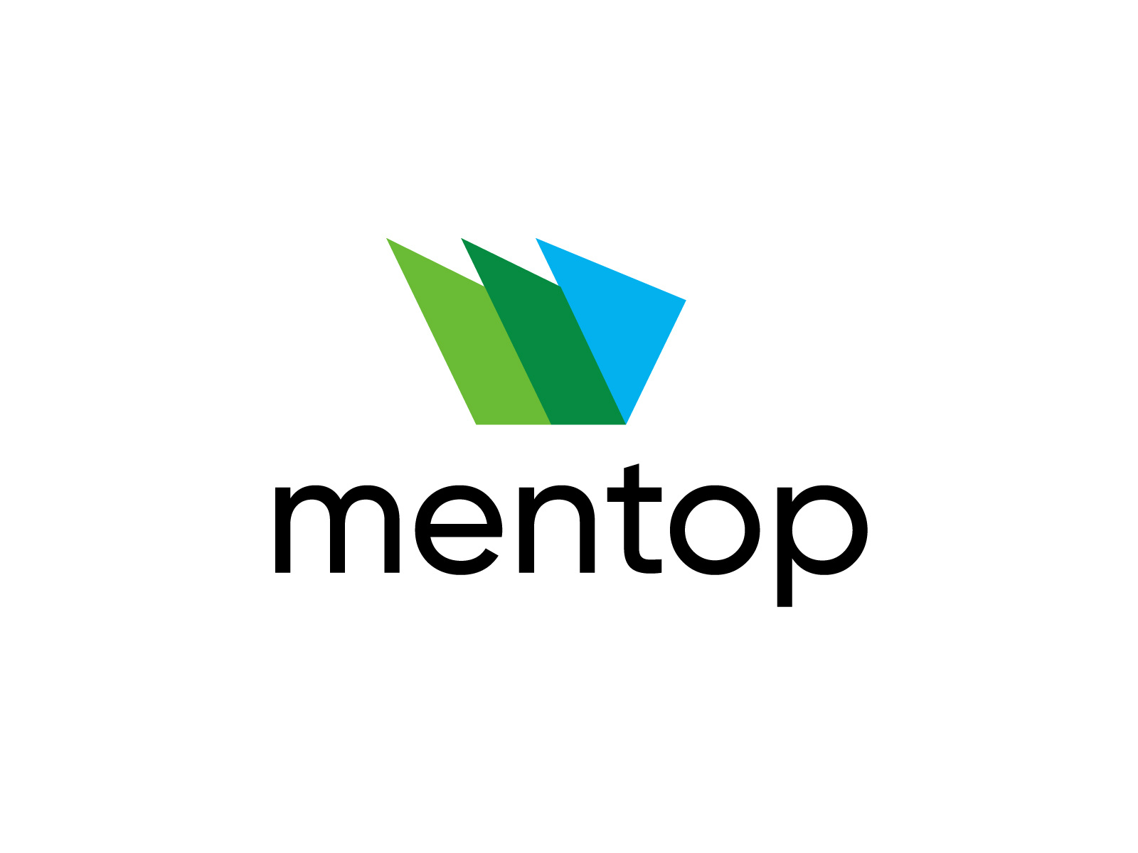Example of mentop capital