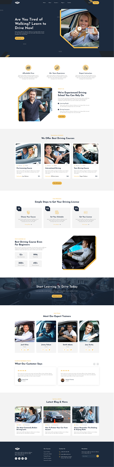 Car Driving School Landing Page design driving web landing page driving website driving website design landing page ui ui design uiux design user interface website design