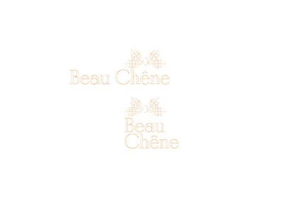 Beau Chene branding design graphic design icon illustration logo minimal ux vector