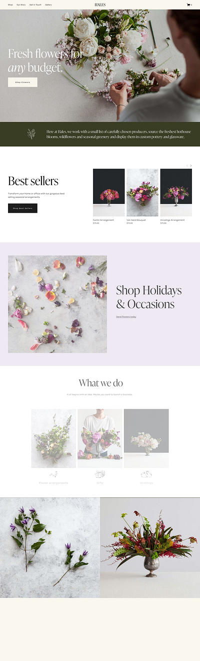 Hales - Website Template - Squarespace app art blog concept design graphic design online store photography squarespace squarespace design squarespace website template theme ui ui design ux ux design web design web development website