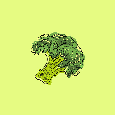 Broccoli Illustration broccoli cooking design etching flat food garden healthy icon illustration illustrator line art organic simple art style vector vegan vegetarian veggie vintage style