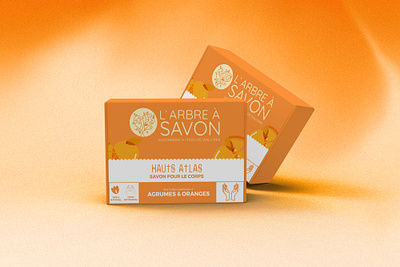 L'ARBRE A SAVON branding design graphic design packaging