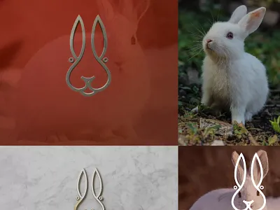 Rabbit logo branding graphic design logo rabbitlogo