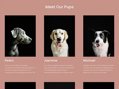 Malone - Website Template - Squarespace clean colorful company corporate design modern multipurpose multipurpose template photography pitch deck portfolio presentation squarespace design squarespace website studio template unique web design web development website