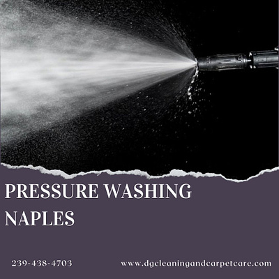 Best Pressure Washing Services in Naples, FL pressure washing naples