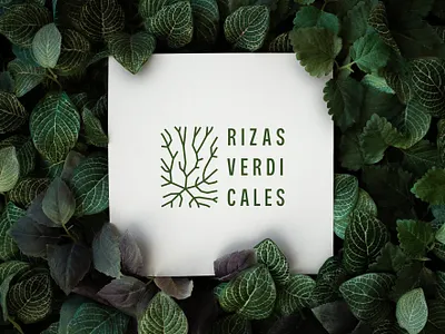 Rizas Verdicales | Brand Identity branding cuba garden graphic design green identity leaf logo logotype root vertical garden