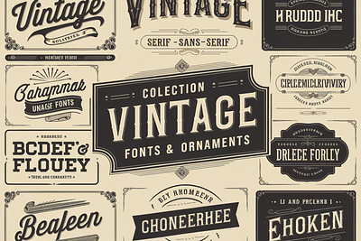 Vintage Font Bundle & Ornaments design fonts bundle graphic design sans serif script