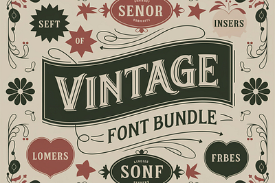 Vintage Font Bundle & Ornaments bundle graphic design illustration script vintage