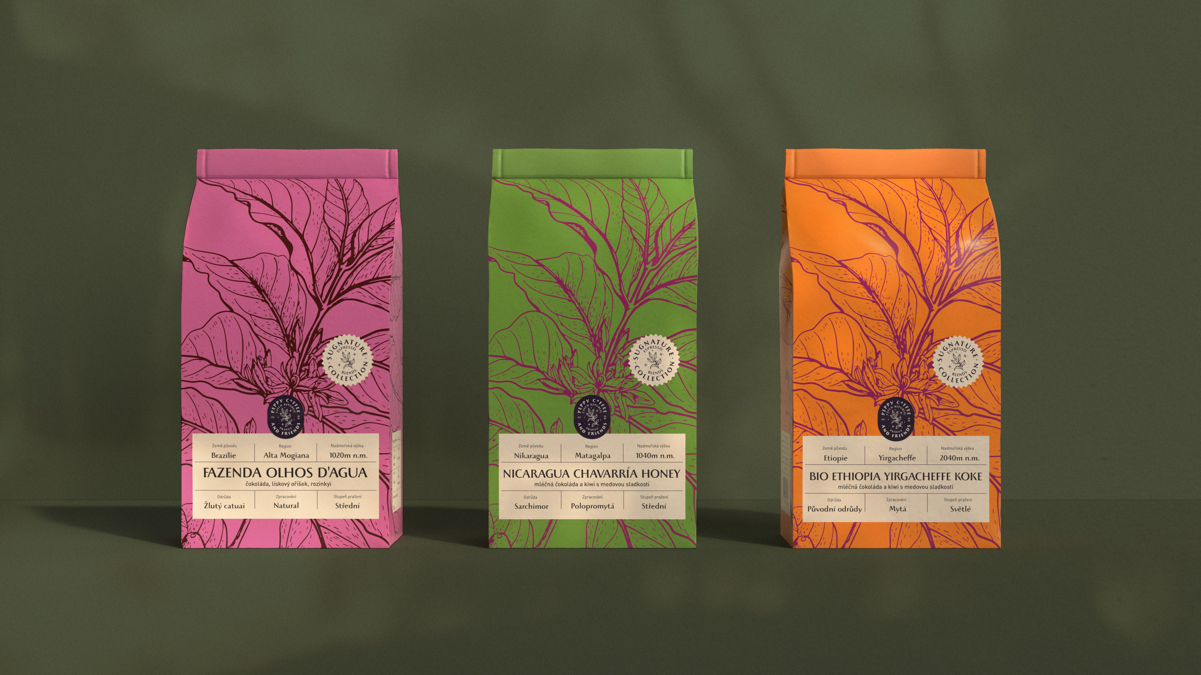 Example of Coffee package design concept