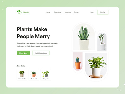 Plant Shop Header Exploration ❤️🔥 clean concept ecommerce flower garden gardening green home decor house indoor landing page nature plant planting ui ux webdesign website