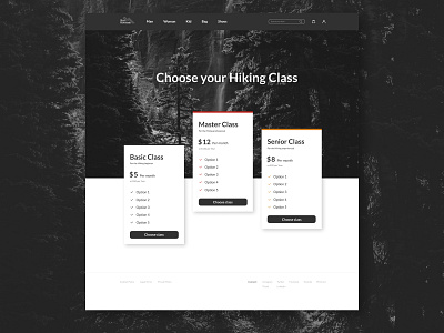 Daily30 Pricing dailyui pricing