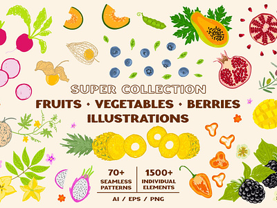Collection fruits vegetables berries