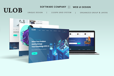 Software Company Web UI Design branding design landing page typography ui ux