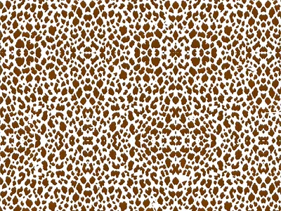 Cheetah Print Pattern abstract branding ceetah print design fashion graphic design home decor homedecor illustration pattern design wall art