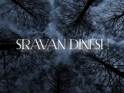 Sravan Dinesh text