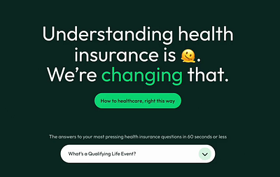 Health Lit Pro | Healthcare Resource branding clean website clean website layout design emojis graphic design health health website healthcare healthecare website resource website website layout