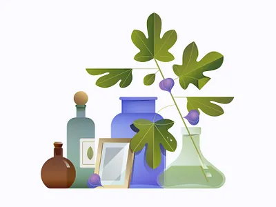 Fig tree adobeillustrator bottle fig glass illustration jar leaves plant table tree vase vector