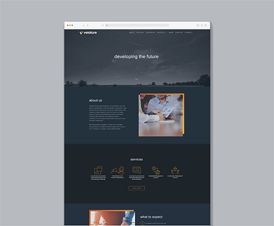 Veloture Website Design webdesign