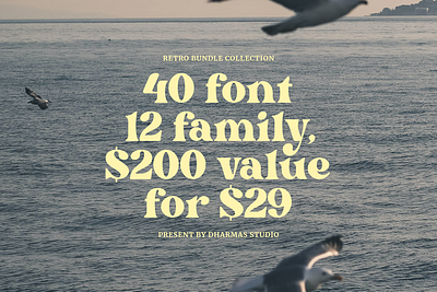 The Retro Font Bundle - 90% OFF 60s font 70s font 80s font aesthetic font display font elegant font feminine font font font ideas fonts layout lettering luxury font magazine playful post card poster retro font serif font typography