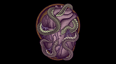Venomous Heart (For Sale) artwork darkart design dotwork drawing illustration macabre skull