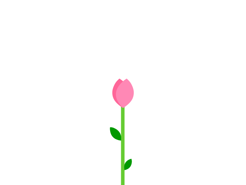 Flower animation 2d 2d animation adobe animate animation blossom character character animation flower flower blossom graphic design illustration motion graphics vector