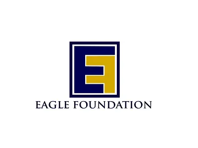 Eagle Foundation Branding Project app branding design graphic design illustration logo typography ui ux vector