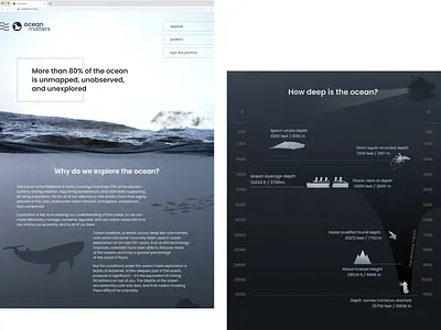 OCEAN MATTERS Infographic landing page design ecology education graphic design illustration info design infographic information design landing nature ocean protection study ui vector