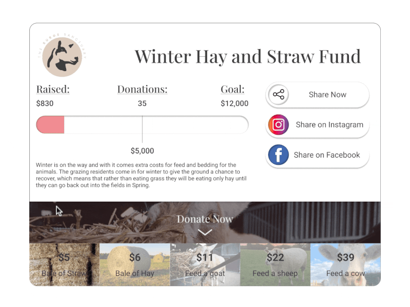 Daily UI 100 Day Challenge - DAY 032 "Crowdfunding Campaign" 032 crowdfunding dailyui dailyui032 design figma graphic design sanctuary ui ux