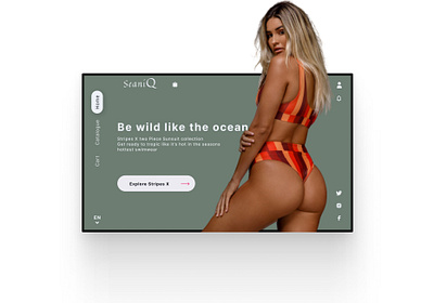 SEANIQ LANDING PAGE branding colours design figma graphic design illustration landingpage photoshop product ui ux web