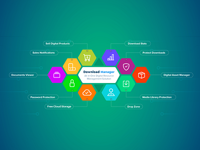 Download Manager - Digital resource Management Solution digital store download manager wordpress plugin