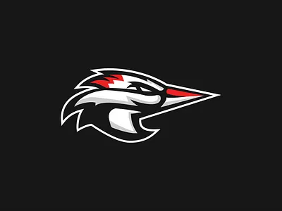 Woodpecker Sports Logo bird logo design eagle football logo logo logo design modern logo modern logo design modern sports logo sports bird logo sports design sports logo sports logo inspiration sports logo inspo woodpecker woodpecker logo woodpecker sports logo