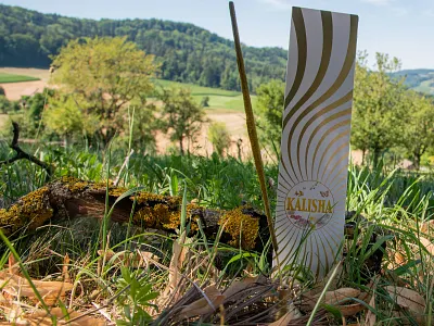 Incense Stick Packaging