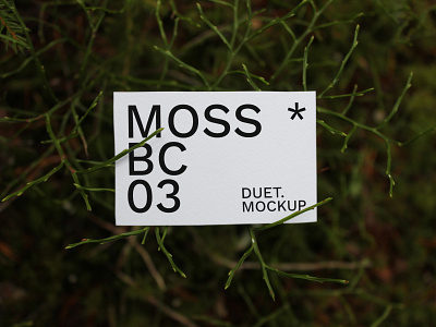 Moss Business Card 03 Mockup branding business card design download identity mockup photoshop psd template typography