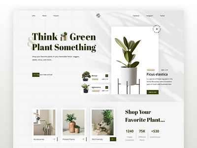 🌱 Plant Shop - Landing Page clean design ecommerse florist flower flower shop green hero section home page interior plant landing page minimal minimalist design nature plant plant landing page plant shop shop ui uiux