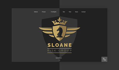 Sloane Risk Group branding design graphic design illustration logo typography ui ux vector