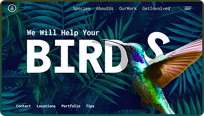 🐦Birds Website (Hero) UI Design 3d animation branding design figma figma design graphic design illustration motion graphics ui ux web design web development