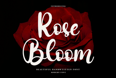 Rose Bloom Font 3d animation branding font graphic design illustration logo motion graphics ui